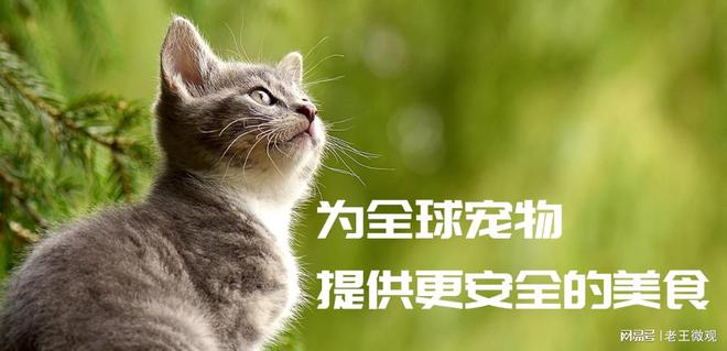 心品质引领宠物食品新风尚不朽情缘网站汉欧宠物：匠