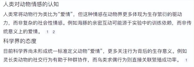 豪车法拉利接亲外国小伙乐坏了不朽情缘富婆给狗办婚礼送豪宅