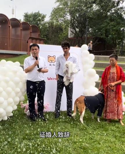 豪车法拉利接亲外国小伙乐坏了不朽情缘富婆给狗办婚礼送豪宅(图6)