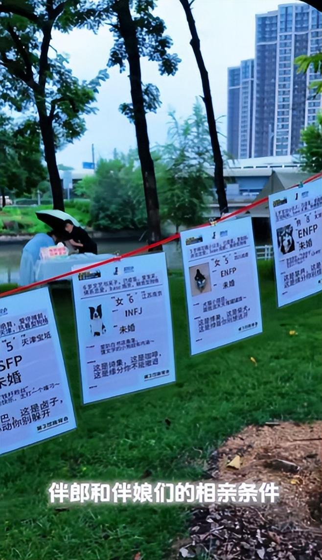 豪车法拉利接亲外国小伙乐坏了不朽情缘富婆给狗办婚礼送豪宅(图19)