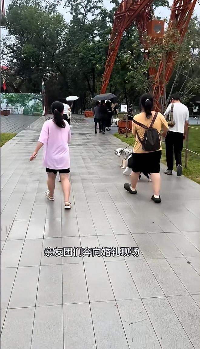 豪车法拉利接亲外国小伙乐坏了不朽情缘富婆给狗办婚礼送豪宅(图22)
