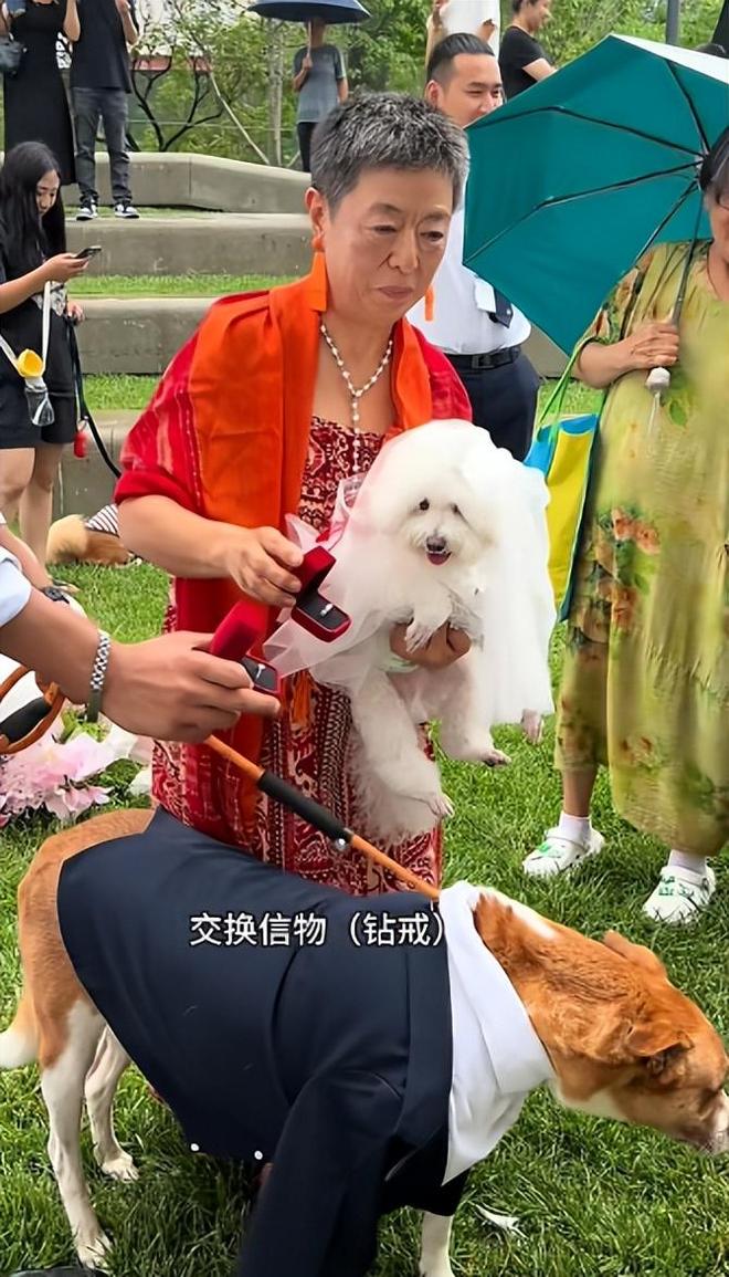豪车法拉利接亲外国小伙乐坏了不朽情缘富婆给狗办婚礼送豪宅(图21)
