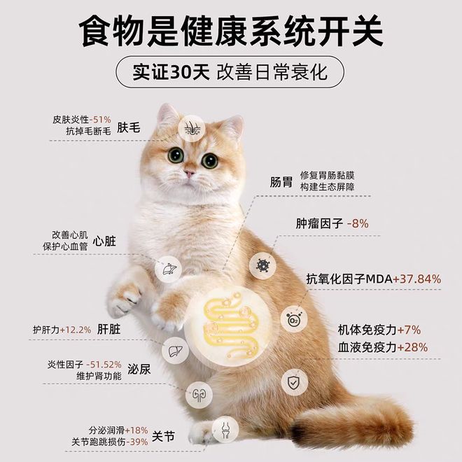 ？2025年十大猫粮口碑榜实测解析不朽情缘试玩版哪些猫粮牌子比较好(图6)