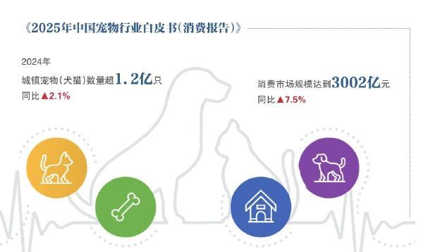 近 半宠物鲜食的风口迷局不朽情缘网站派特鲜生关店