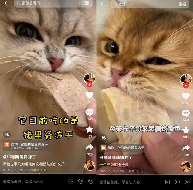 op3这条千亿赛道杀出一匹黑马不朽情缘首页年销2亿抖音类目T(图5)