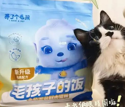 口粮！三只松鼠靠什么重返宠物食品赛道mg不朽情缘网站零食巨头盯上毛孩子(图4)