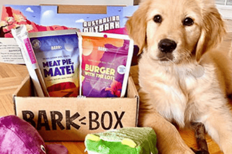 玩具盲盒”年入5亿美元不朽情缘正版一个“宠物(图6)