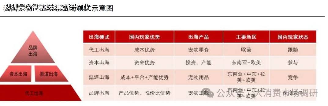 出口市场的四种模式分析（30页报告）mg不朽情缘网站我国宠物产业开拓海外(图2)